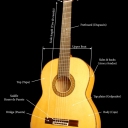 Acoustic Guitar Elements