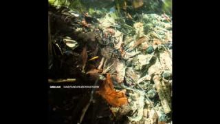 Sven Laux - Am I A Burden?
