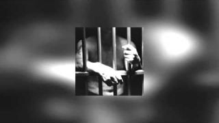 Criminal mind
