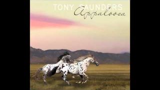 Tony Saunders - Appaloosa (2014)